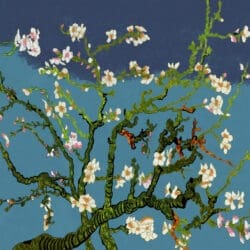Almond blossom